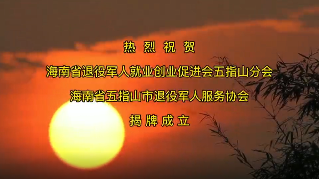 海南省退役军人就业创业促进会五指山分会暨五指山市退役军人服务协会成立