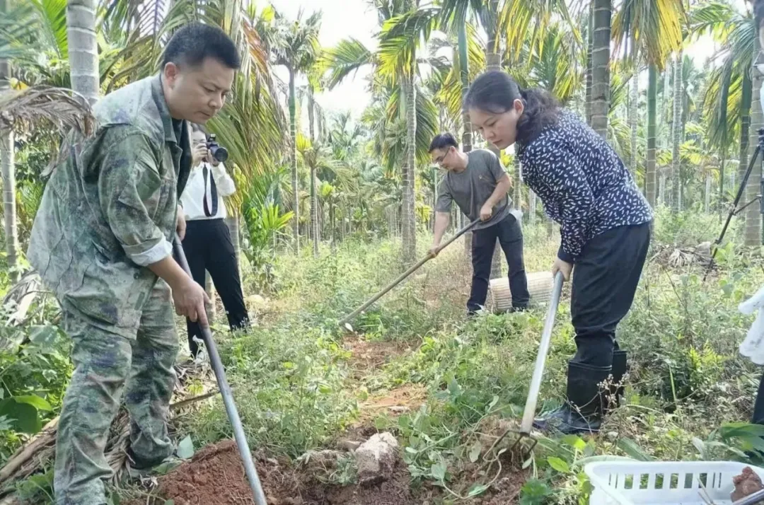 握岱村：小小菌菇开出全村“幸福花”