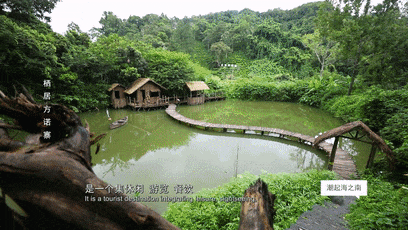 方诺寨热带雨林景区丨在自然中栖居，在雨林里畅想