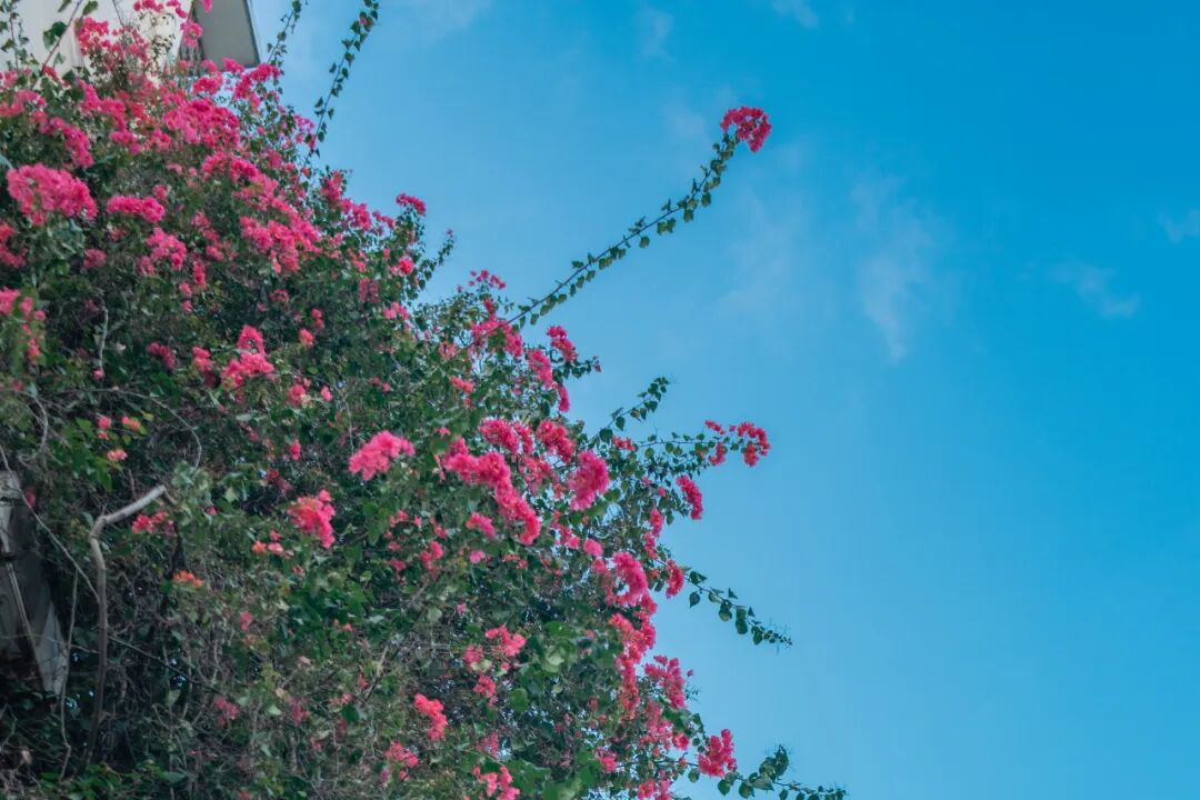 春假+清明小长假，来三亚经济圈这么玩
