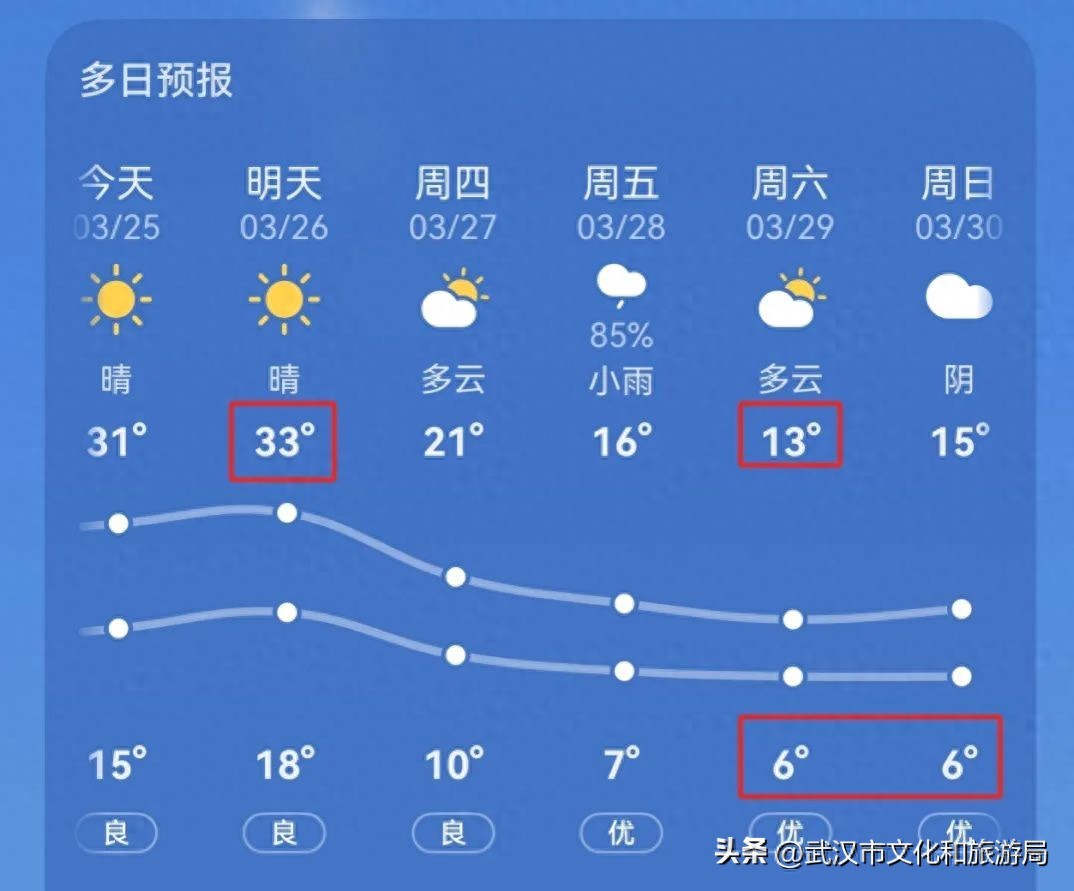 报告！本周倒春寒，樱花急急急