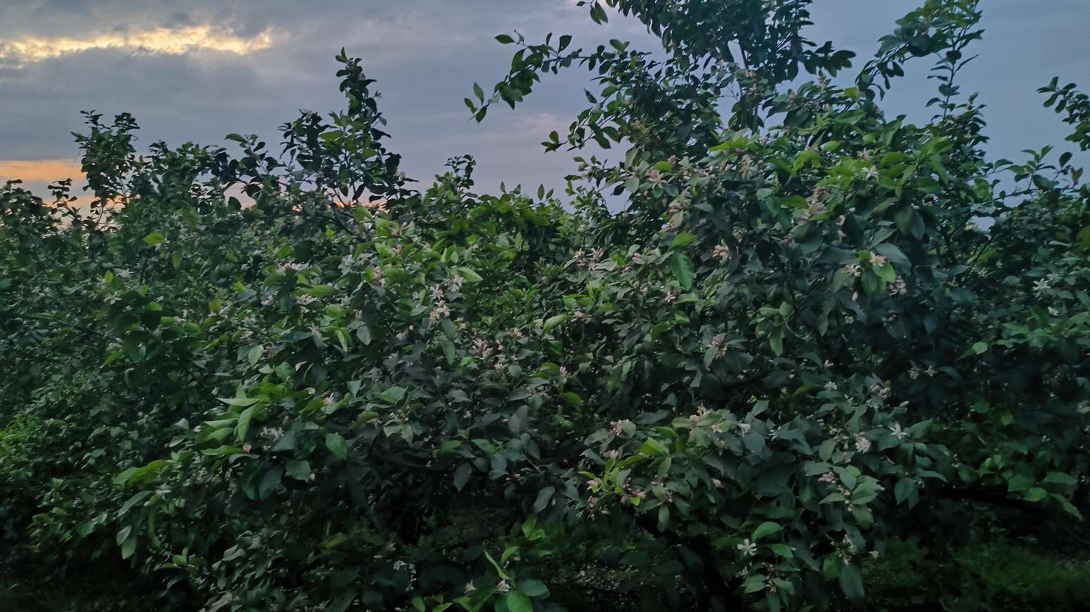 undefined