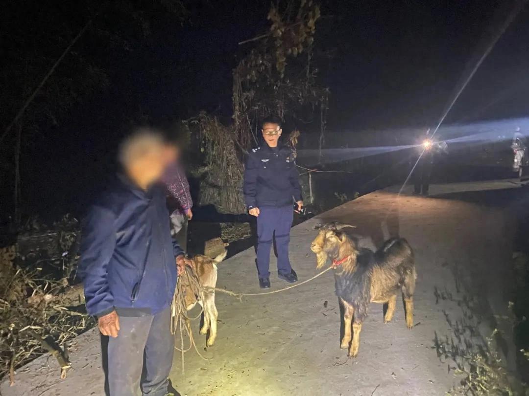 科技助警暖民心，寻羊找人解民忧