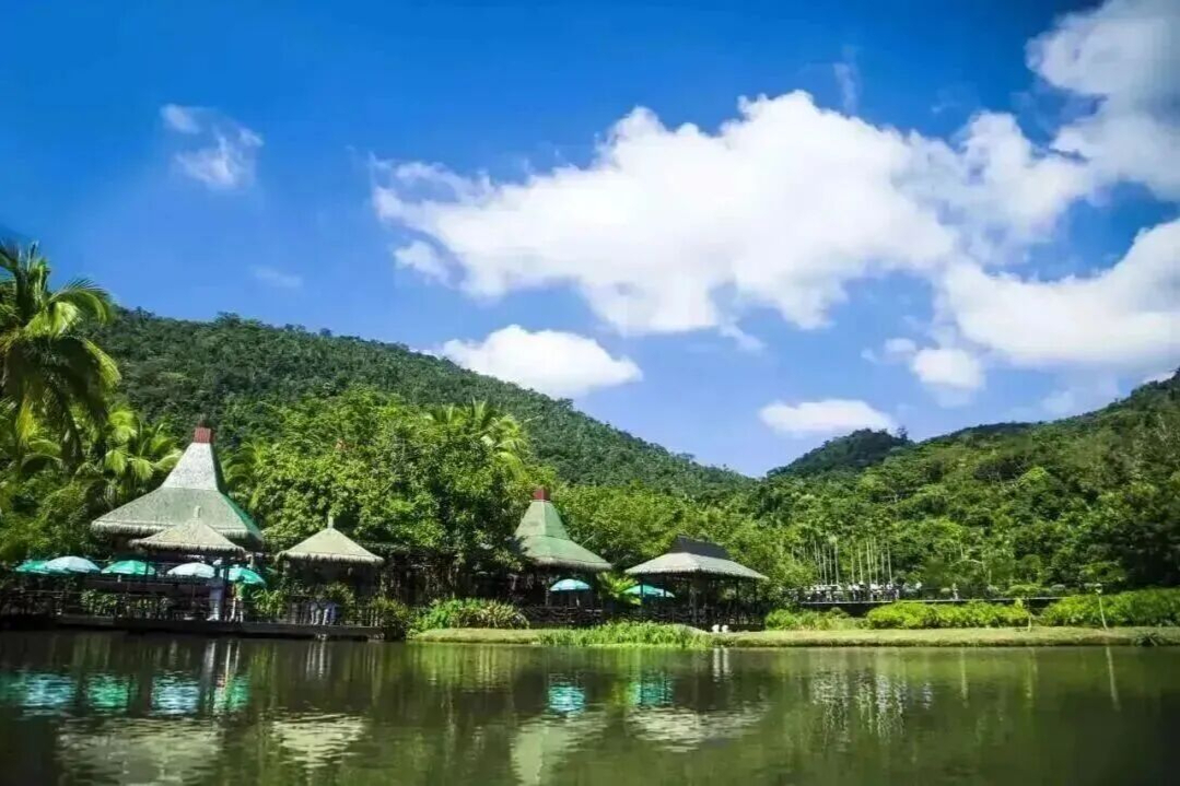 初夏景色撩人！保亭的每一处都让人心动🤩