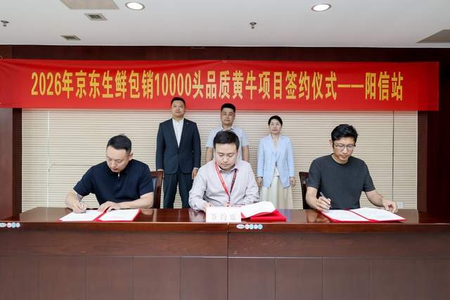 京东生鲜包销10000头品质黄牛，“国产品质牛肉扶持计划”首站落地山东阳信