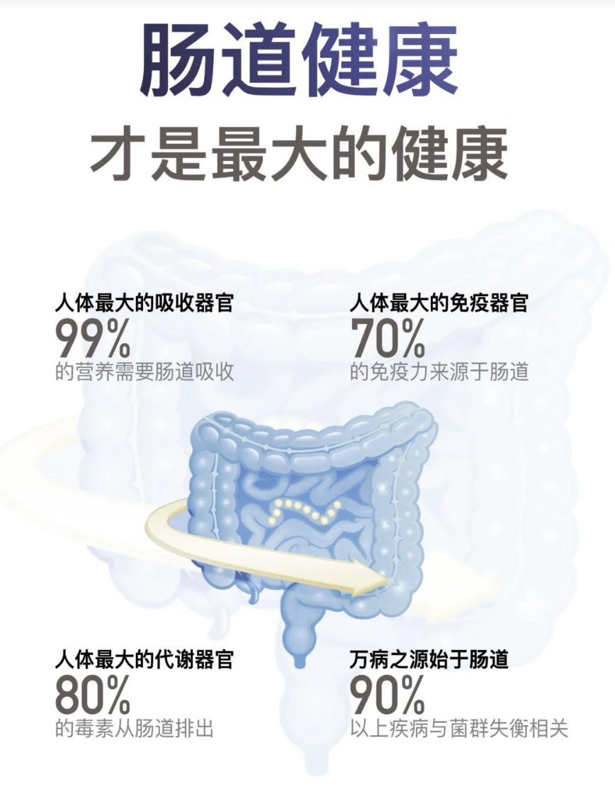 89%认可仅19%行动：肠道健康市场的破局机遇在哪？｜小棉袄电商