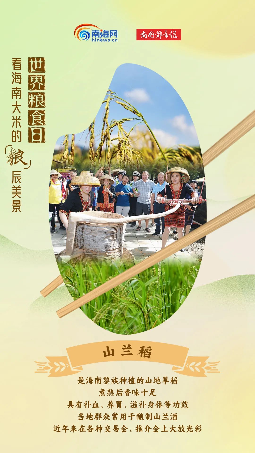 看！海南大米的“粮”辰美景→