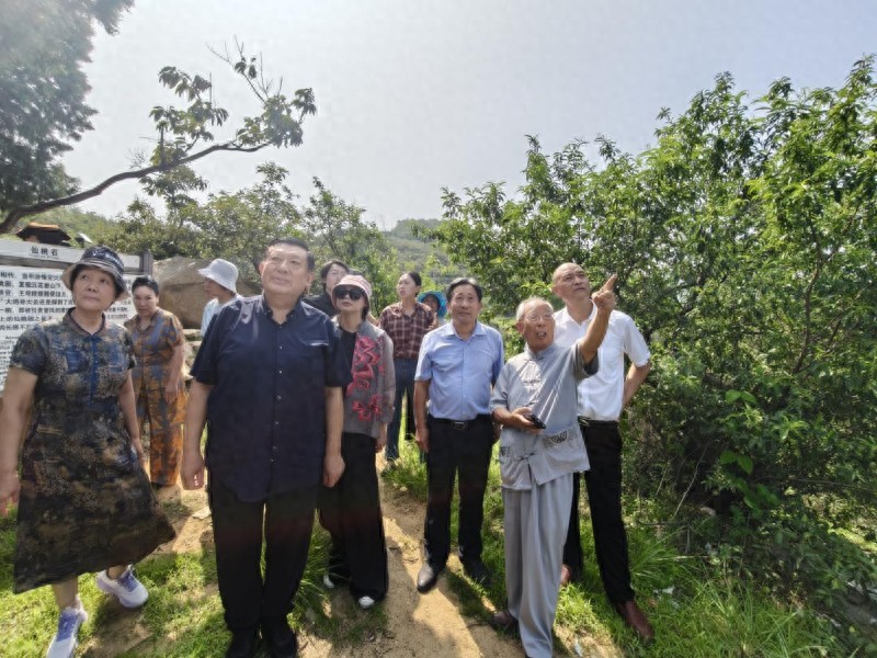 泰安里峪村民俗文化节研讨会顺利召开