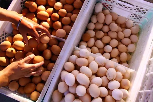 价格不“蛋”定！鸡蛋批发价1个月涨20%，还会继续涨吗？