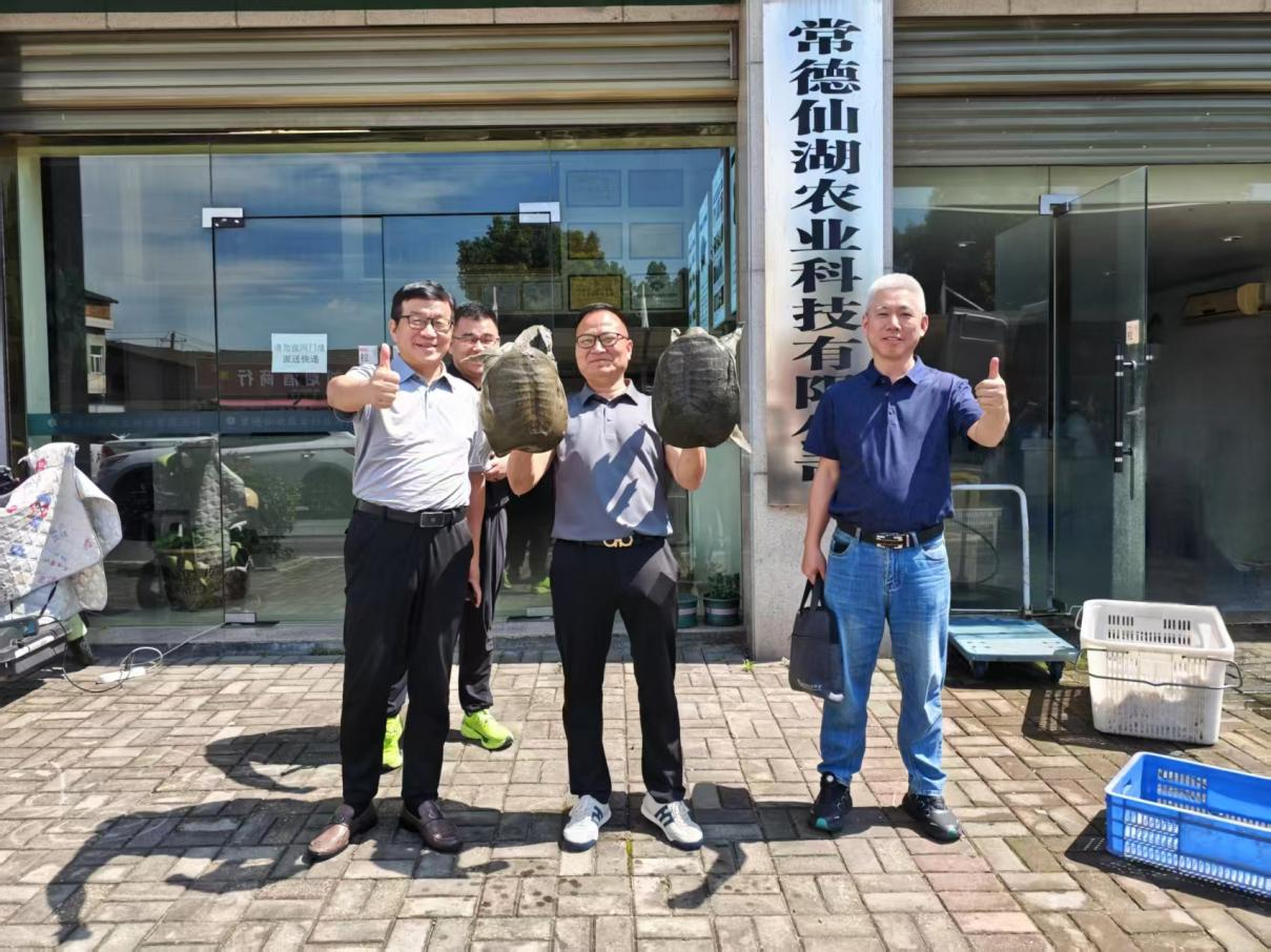 汉寿甲鱼：从中国长寿之乡游向世界餐桌   ——一只生态鳖的全球化之旅