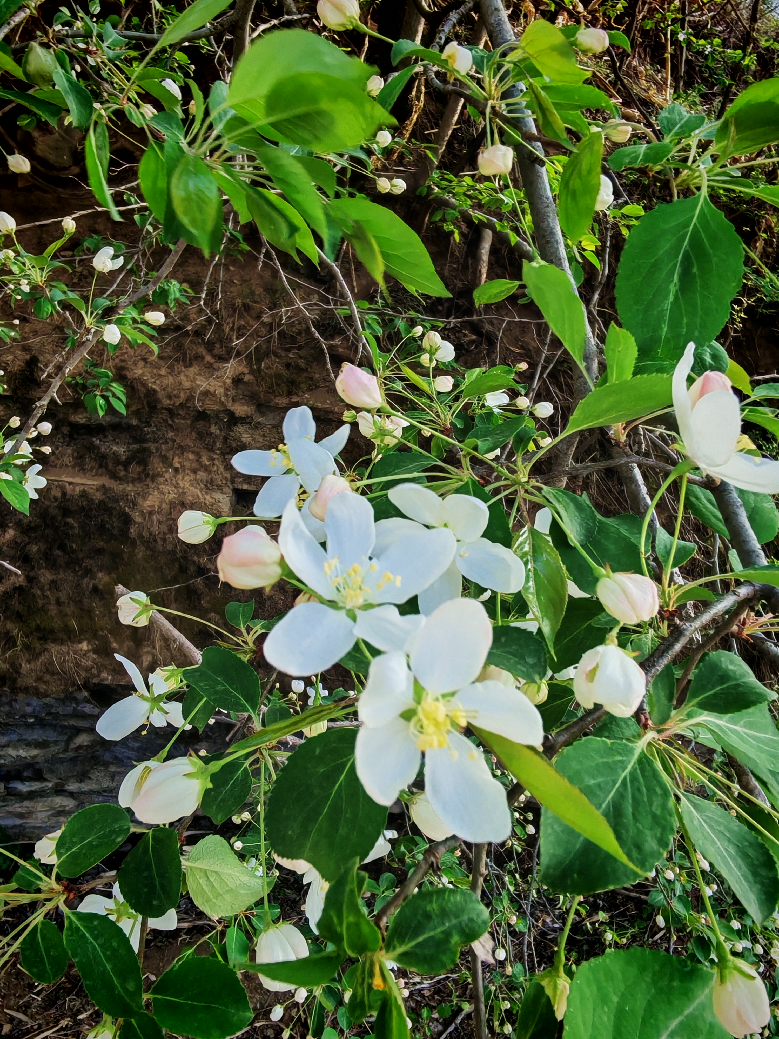 靓丽的铜川王家河【摄影周春辉】