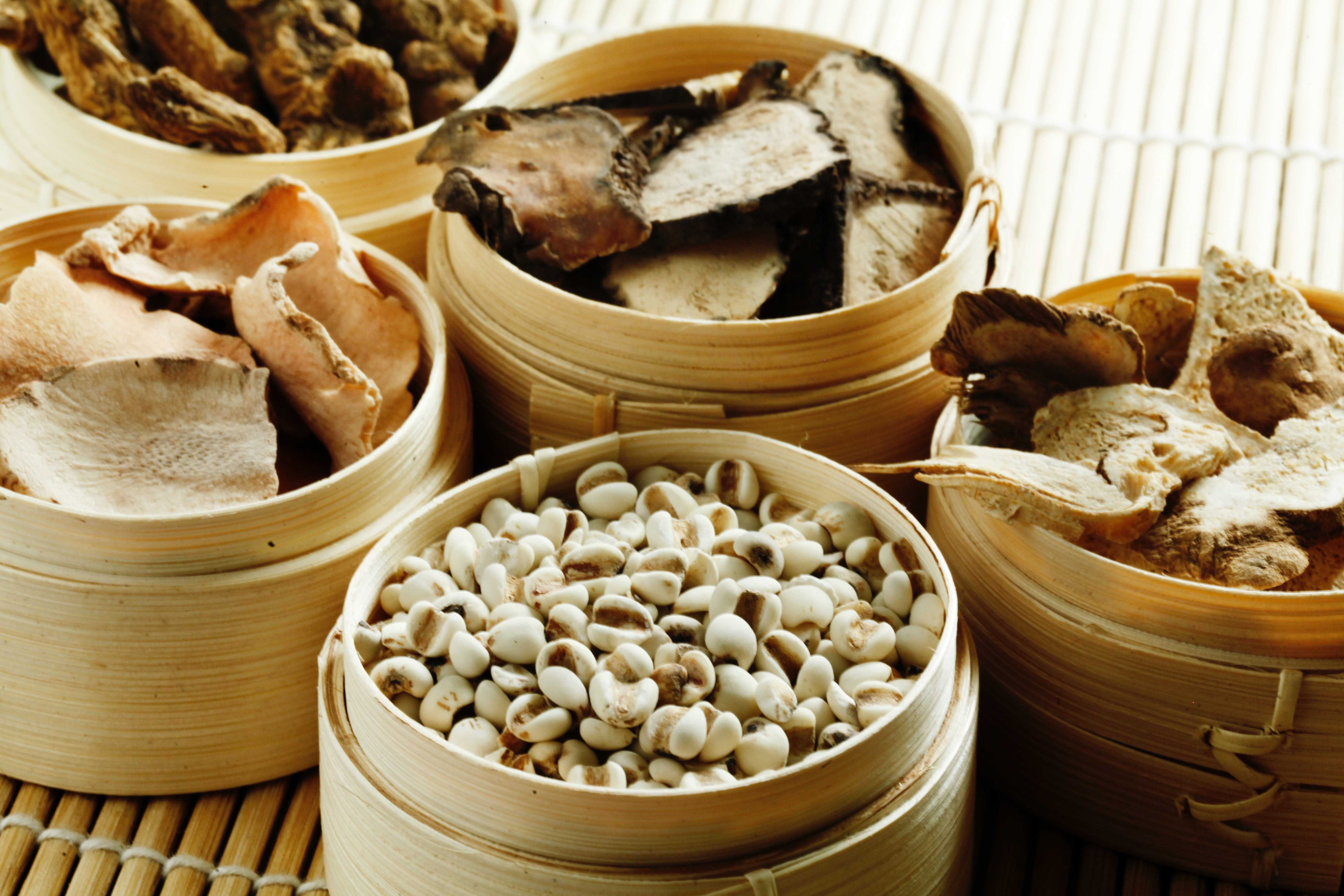 中药新药及食品研发中心_广东省中药研究所