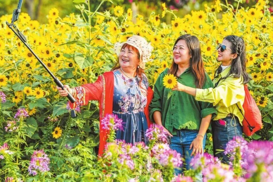 解锁花样海南：从走马观花到沉浸式体验