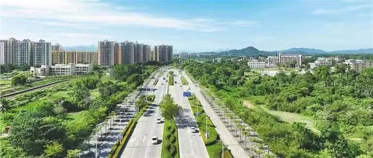 封关倒计时 屯昌企业速领“零关税”红利 预申报开启！
