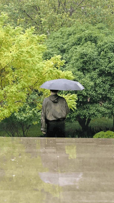 在东湖赏雨，是件很小众的事？