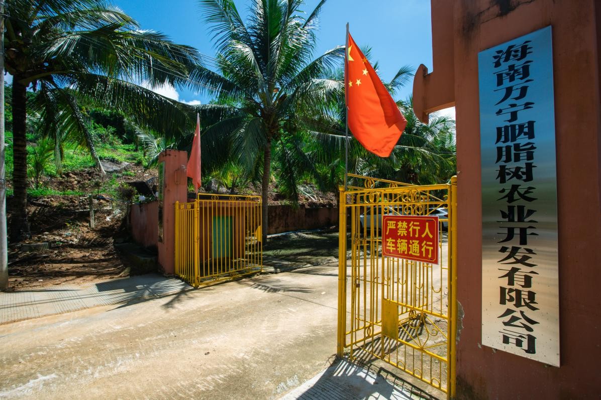 数智企业·凯迪赋能——万宁站