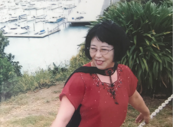 长篇小说《女记者》第二部—第十一章