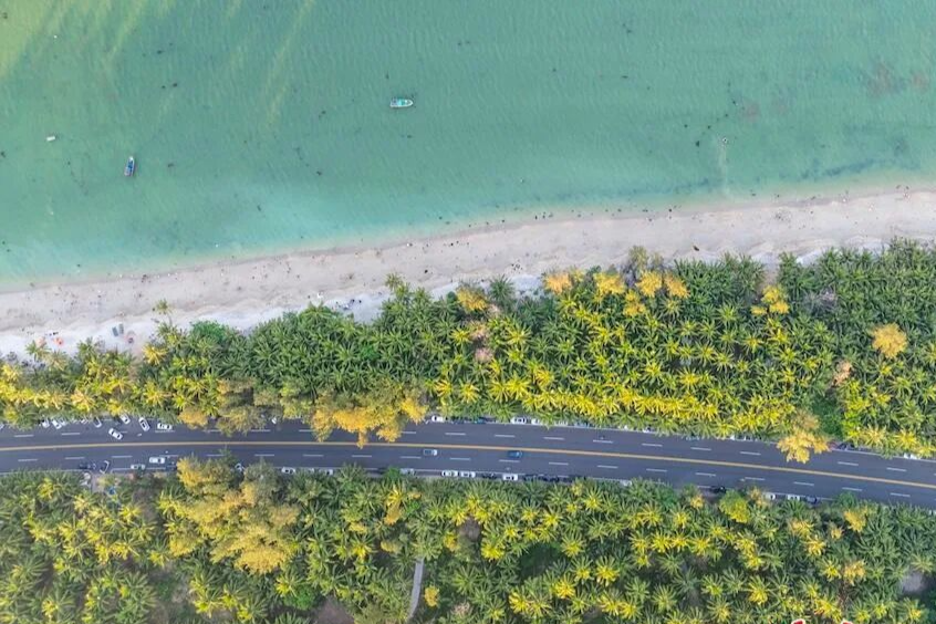 这条不断“进化”的旅游公路，还有哪些打开方式？