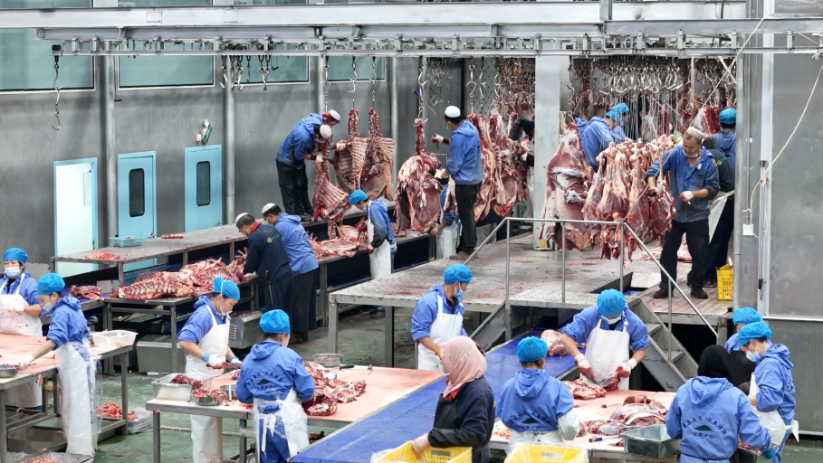 拼多多发布《2025年夜饭报告》：年货加速西进，西部地区水饺订单量增长371%