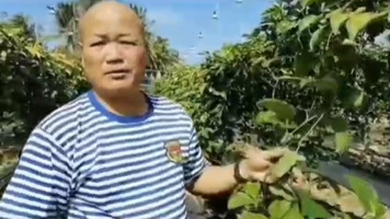 华雅（海南）农业投资开发有限公司：战友情怀