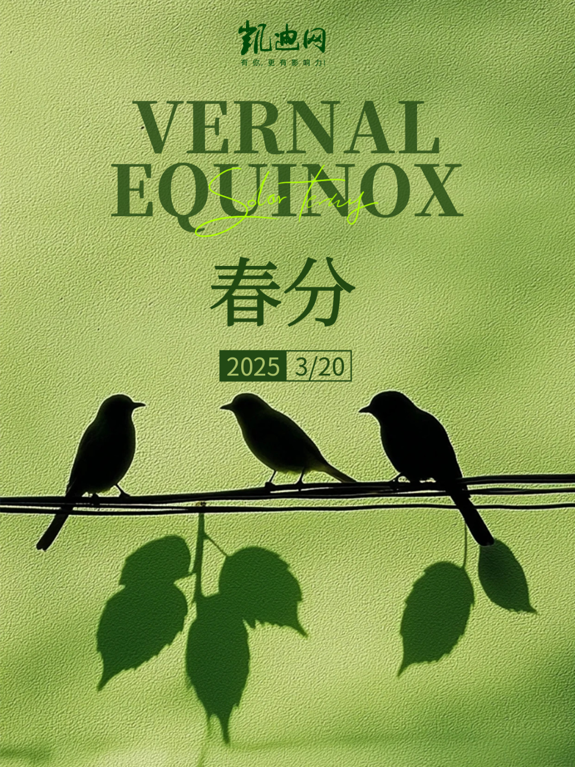 今日春分｜昼夜平分处，人间烟火长