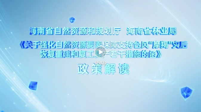 政策解读 | 《关于强化自然资源要素保障支持台风“摩羯”灾后恢复重建和复工复产若干措施的函》政策解读