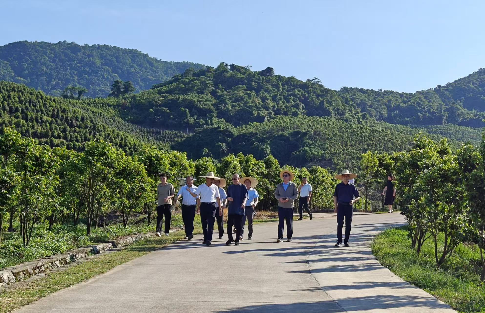 重庆市林业局曹春华局长一行到大观沉香公司琼中基地调研