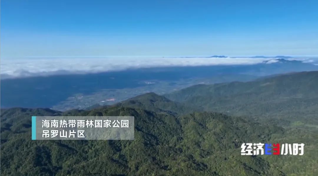 《经济半小时》关注海南！国家公园里的特色游：借绿生“金”