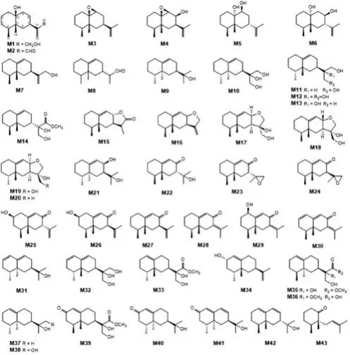 【连载】2024中国沉香产业发展报告第二章第二节 | 沉香的化学成分研究（3）