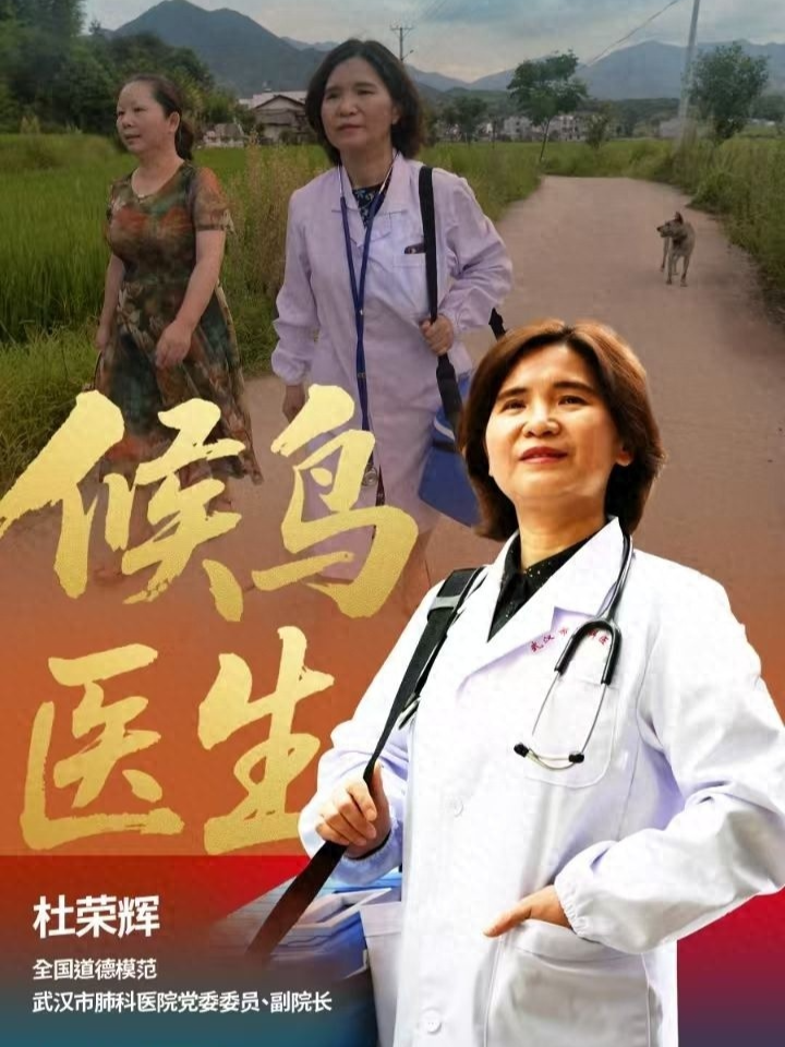 这只武汉“候鸟”，获得国家级荣誉