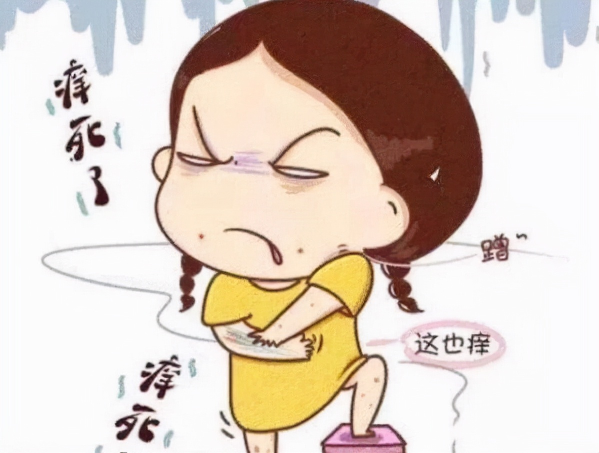 反反复复被荨麻疹困扰?花2分钟来了解一下,这小小一味路路通吧