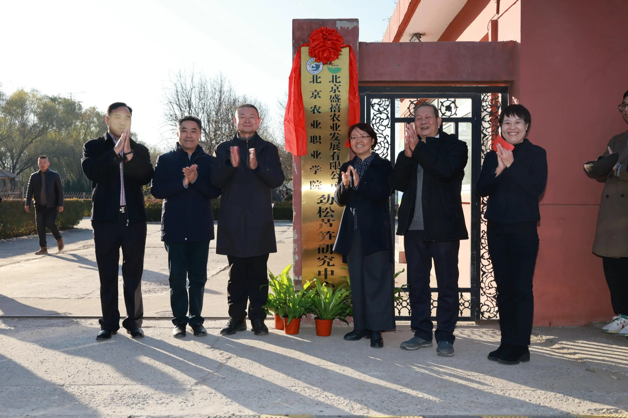“劲松芦笋研究中心”挂牌成立