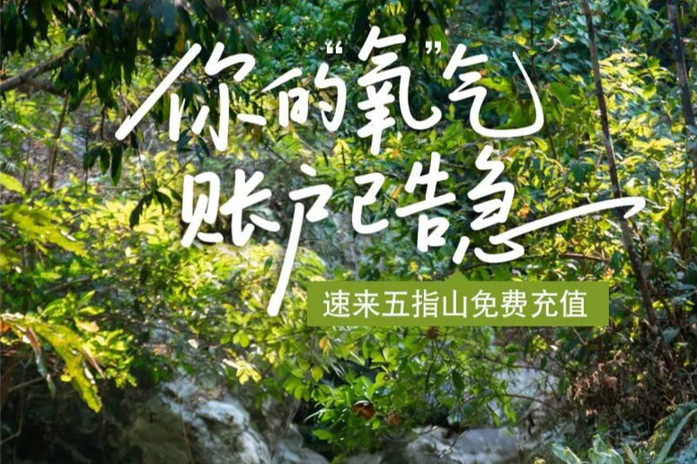来一份“五指山空气”，打包带走~