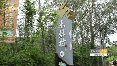 【产业】兰花齐放乐妹村