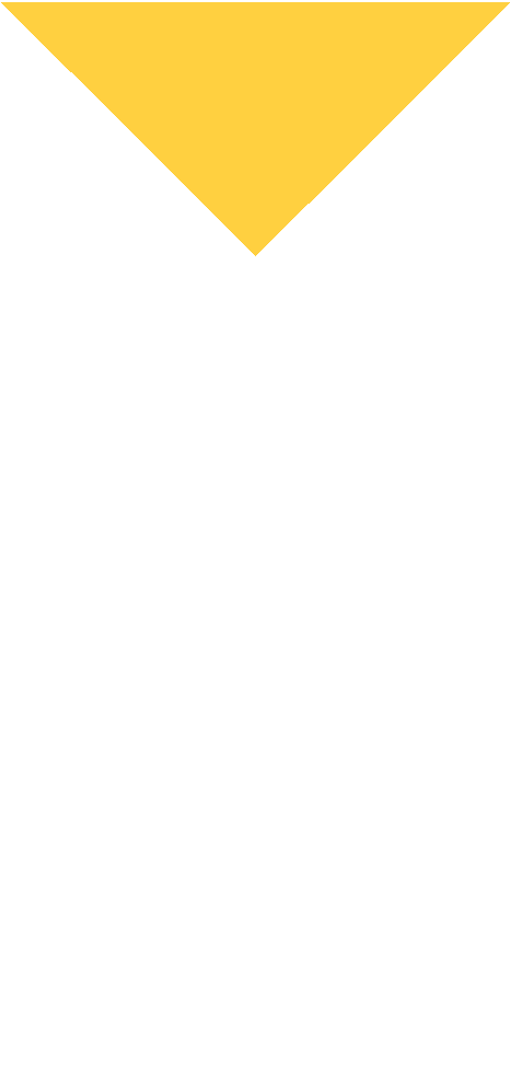 清明期间离岛的新能源车辆须知→