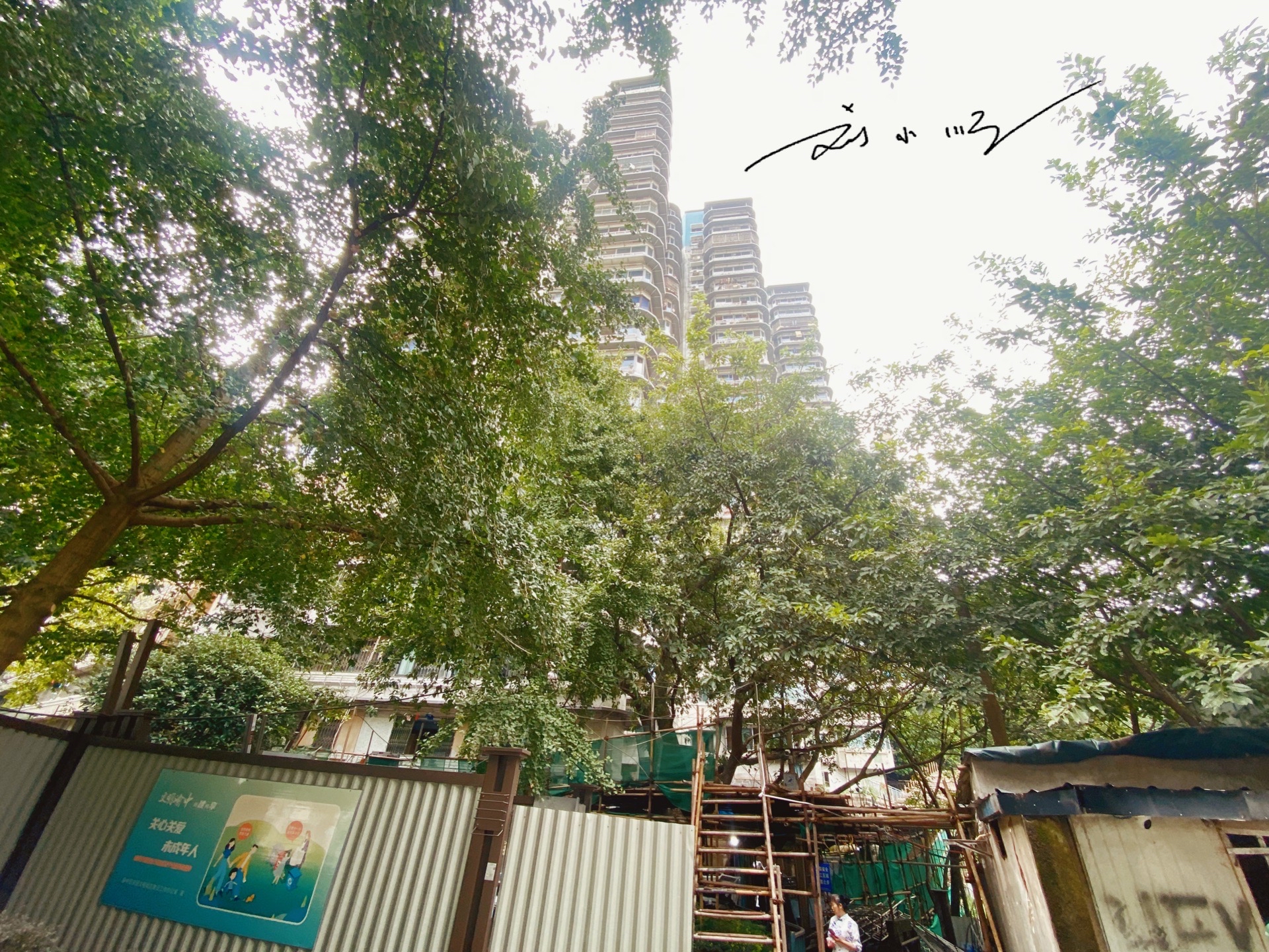 重庆一栋“奇楼”走红网络，高达24层却没有电梯，游客：爬到腿酸