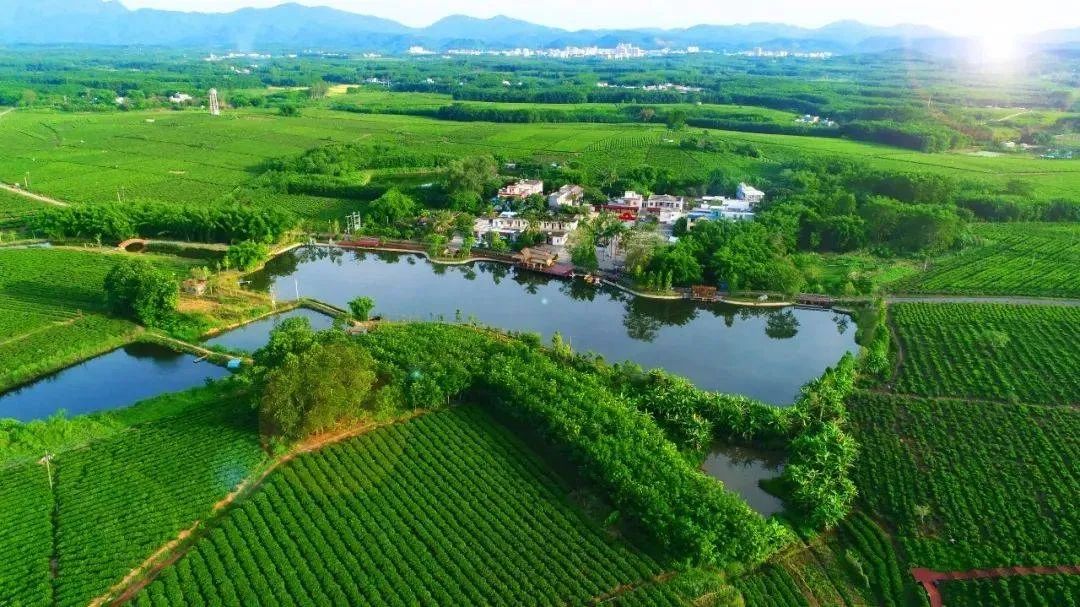 海南省出台乡村旅游发展三年行动计划 推进乡村旅游向度假康养为主转变