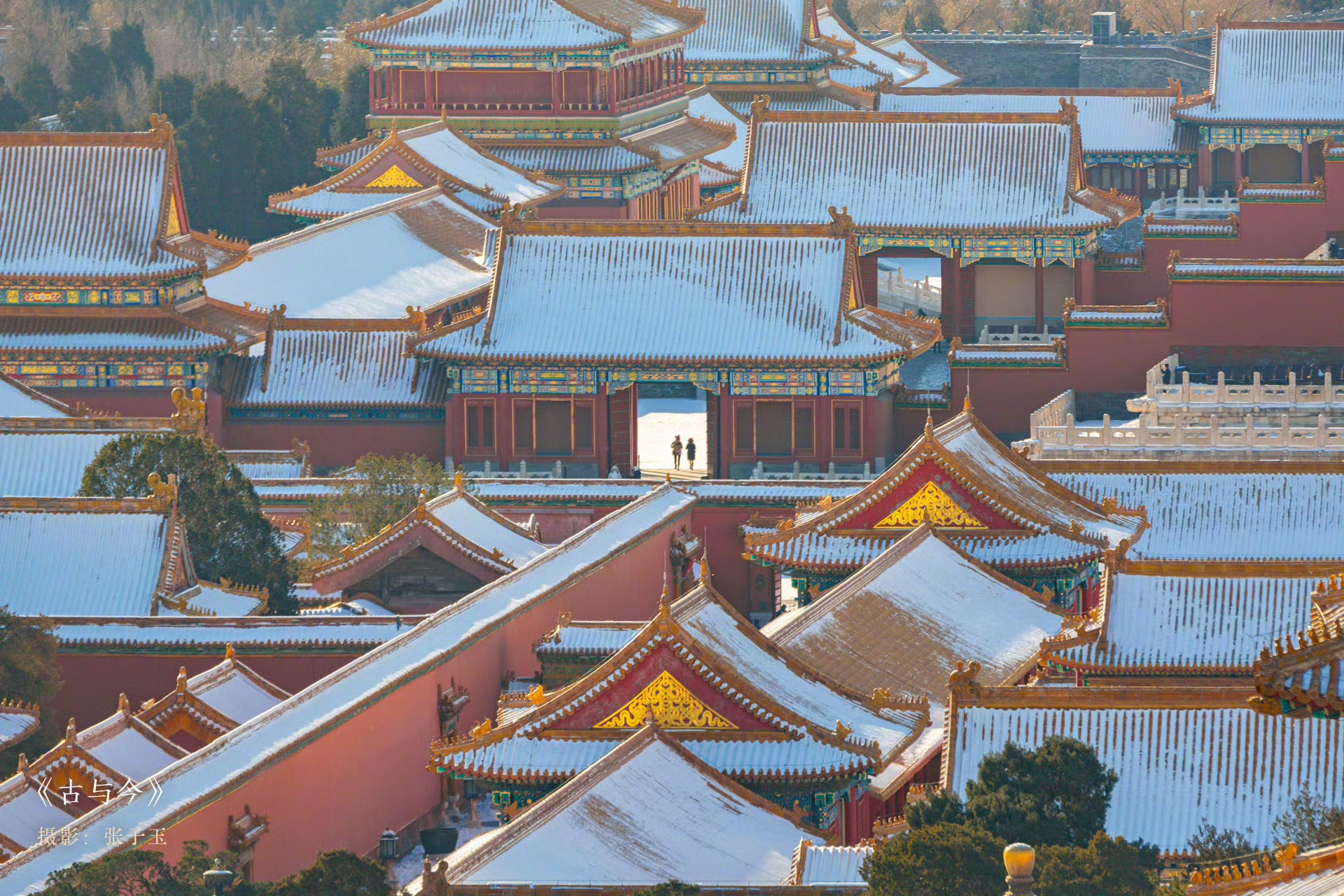 海南自贸港送你一张“世界体验卡”！旅交会最强攻略出炉，速看→