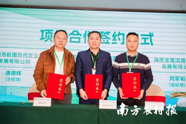南槟农业集团(海南)有限公司与海南省南槟商务科技发展有限公司、连州市岭南现代农业发展有限公司签订项目合作协议。 南槟农业集团(海南)有限公司与海南省南槟商务科技发展有限公司、连州市岭南现代农业发展有限公司签订项目合作协议。