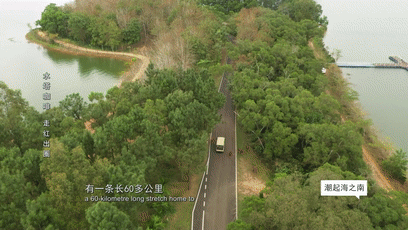 定安首届水塔咖啡文化周丨赴一场乡野中的热闹聚会！