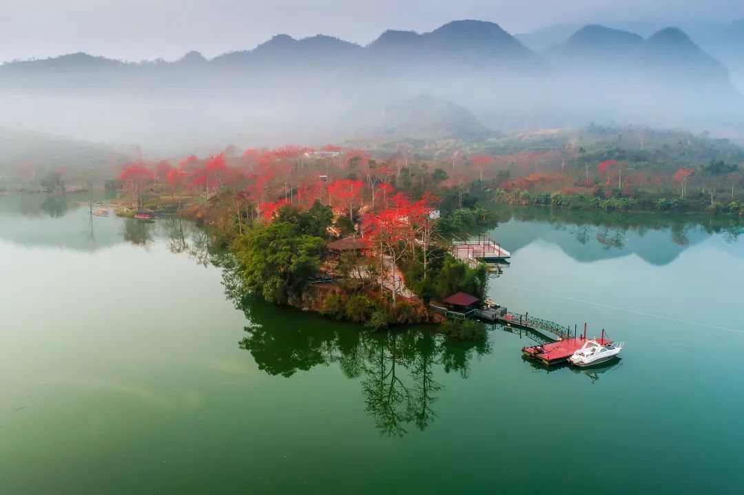 春赏木棉红！来昌江，教你这样赏花→
