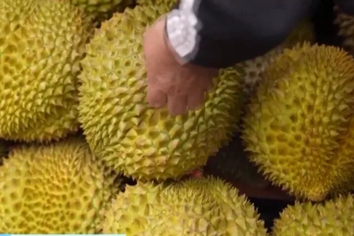 封关后首个春节 央视记者探访海南“菜篮子”与“果盘子”