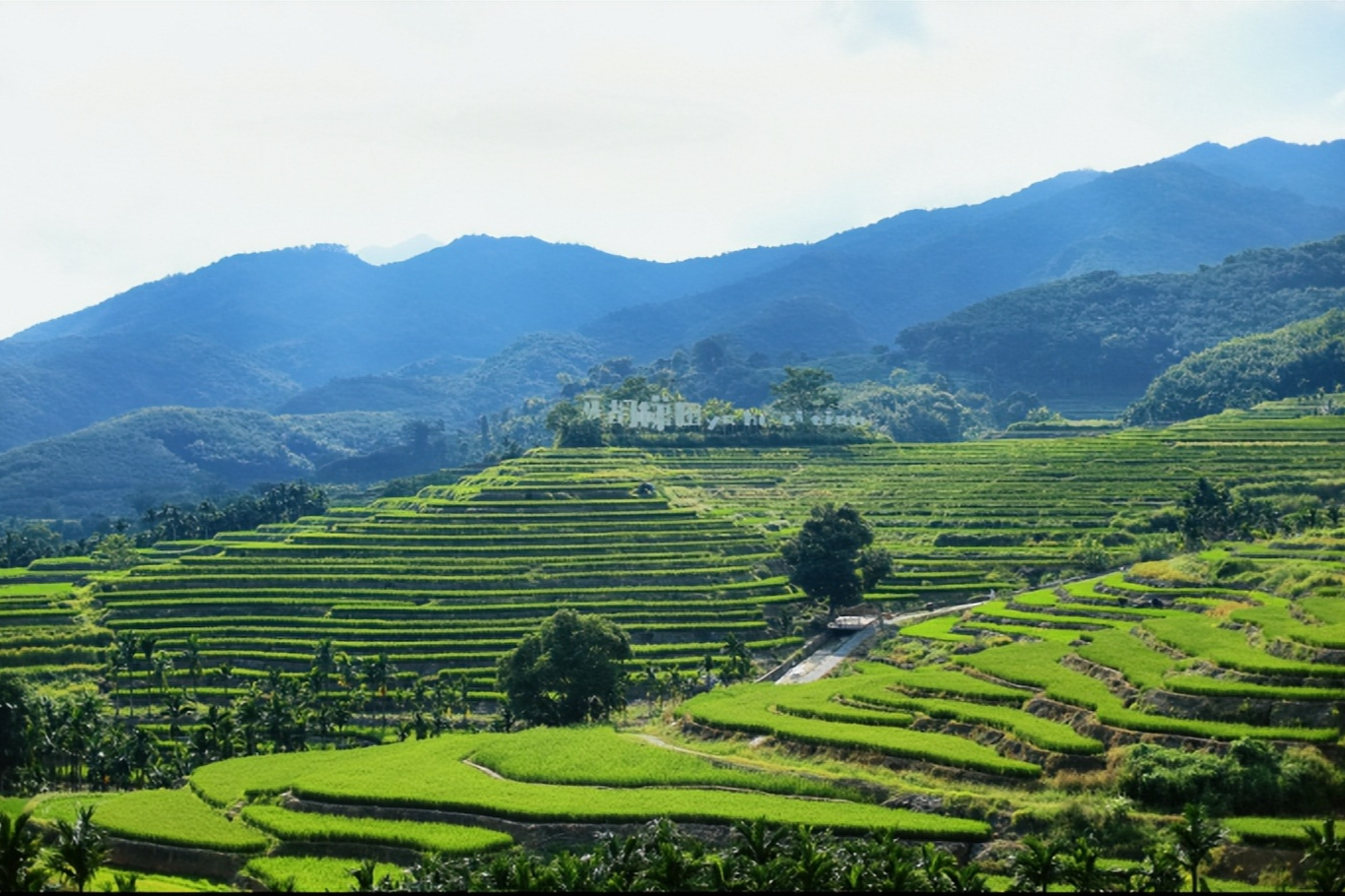 享受周末慢时光！五指山美景+美食打卡指南来啦→