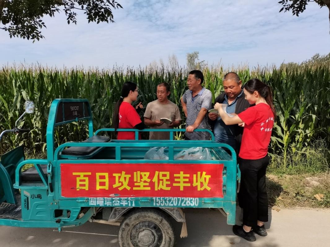 助力优质农产品出村进城，拼多多面向曲周342名村支书推出数字技术培训
