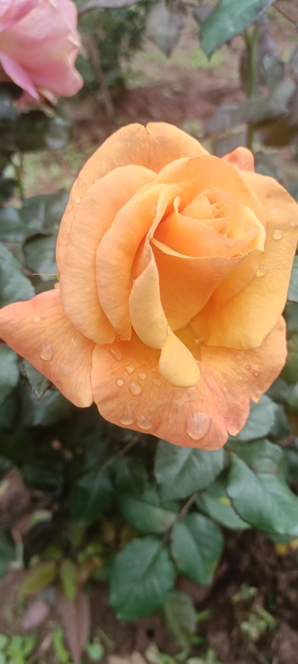 undefined