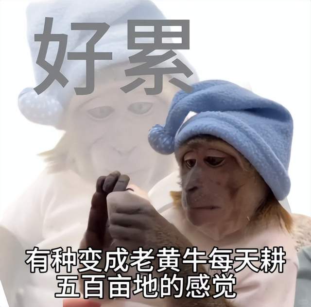 年度真香现场，倩女马年新时装美到直跺脚！