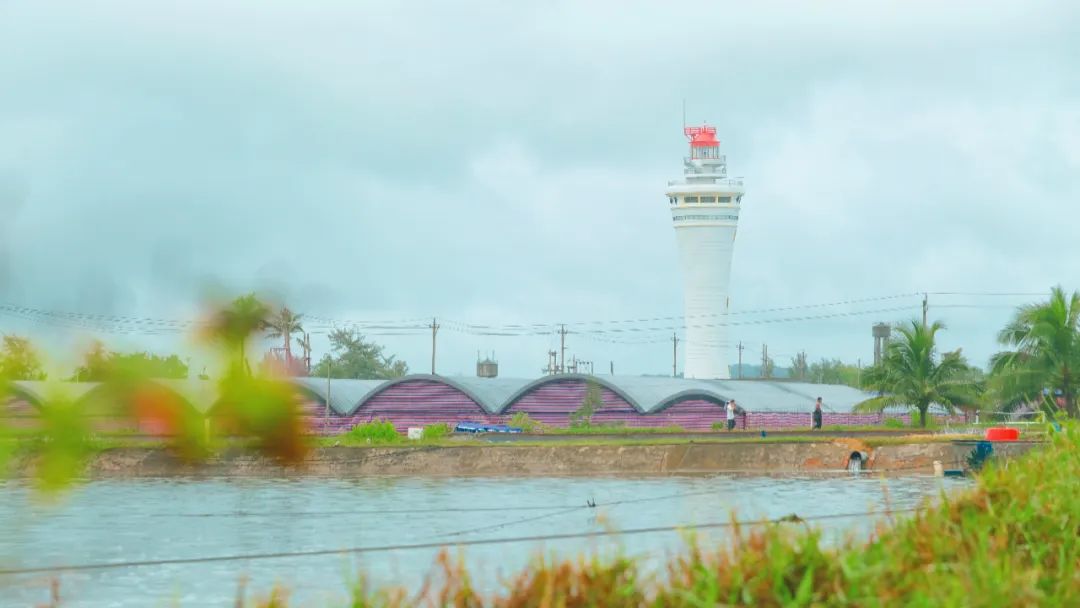 海南万宁：在海水里“养”出近百亿元产业