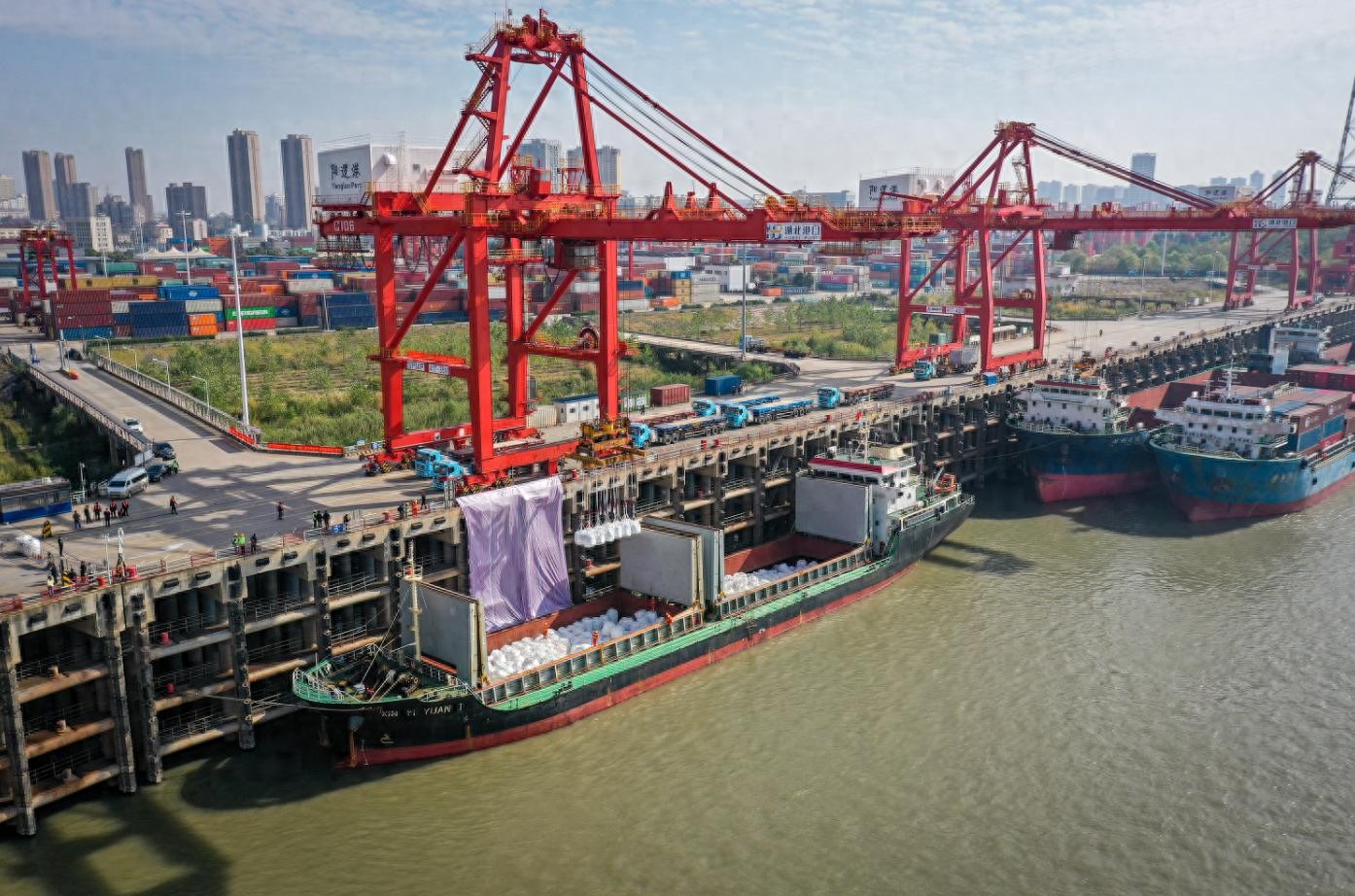 阳逻港5年开通5条国际直航航线，今年出入境船舶数量、货物量同比增长超两成