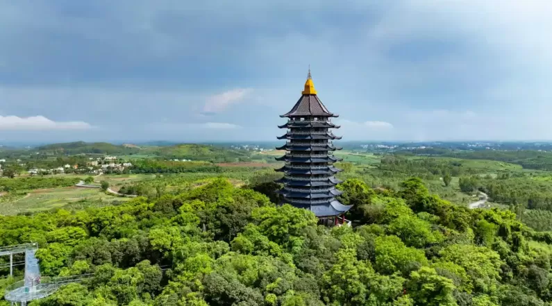 廉江荔枝出口20周年：签约超3亿元 全国每5颗出口荔枝有1颗姓“廉”(图2)