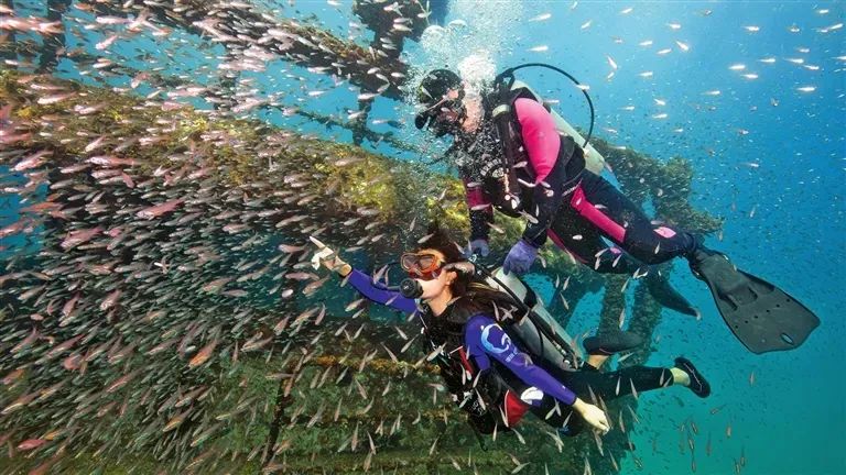 “清凉海岛”迎五一，海南夏季旅游活力全开！